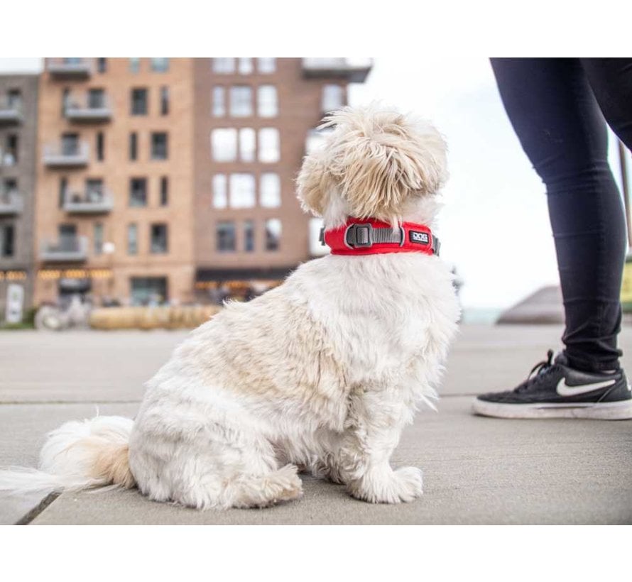 Dog Collar Urban Explorer Classic Red