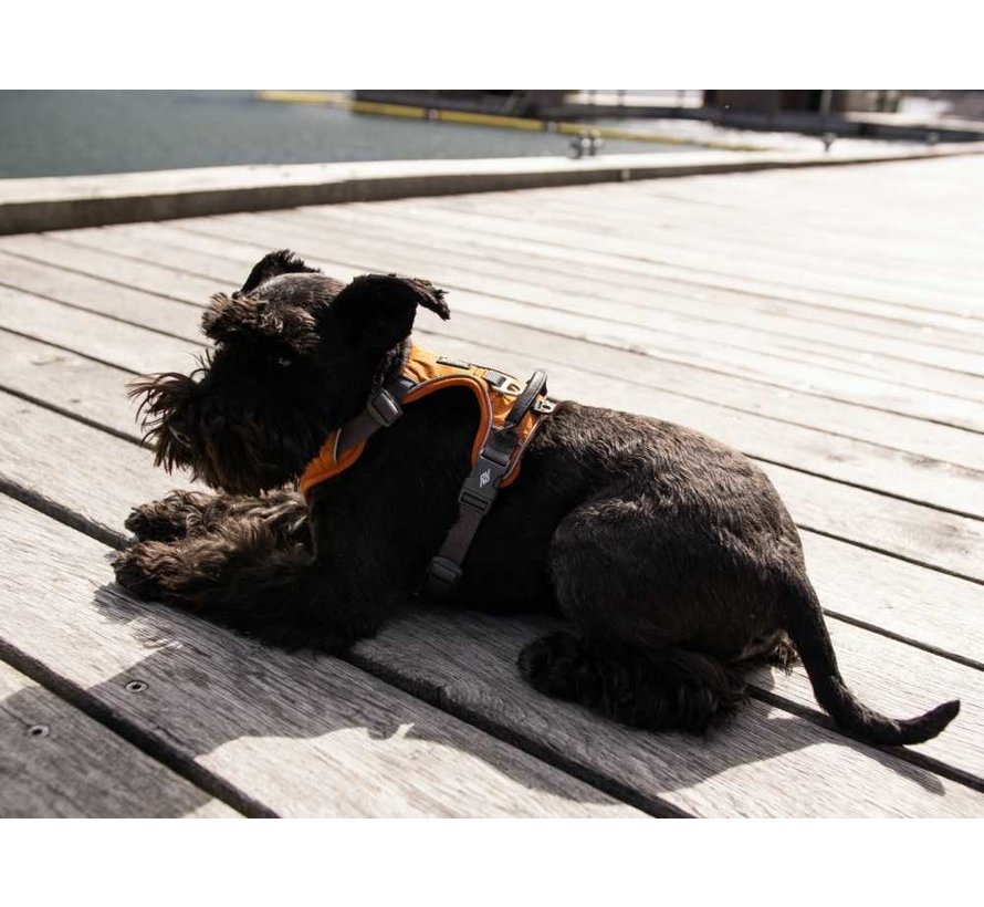 Dog harness Comfort Walk Pro Orange Sun