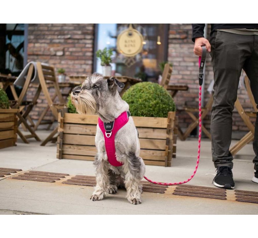 Dog harness Comfort Walk Pro Wild Rose
