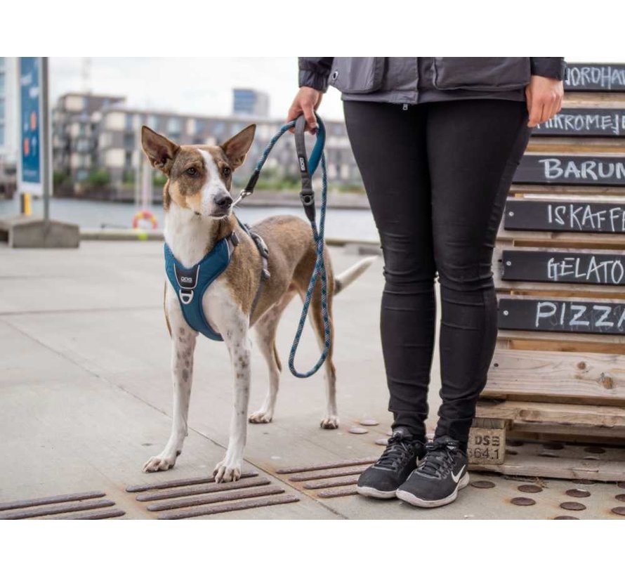 Dog harness Comfort Walk Pro Ocean Blue