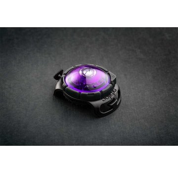 Orbiloc Dog Dual Light Purple