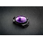 Dog Dual Light Purple