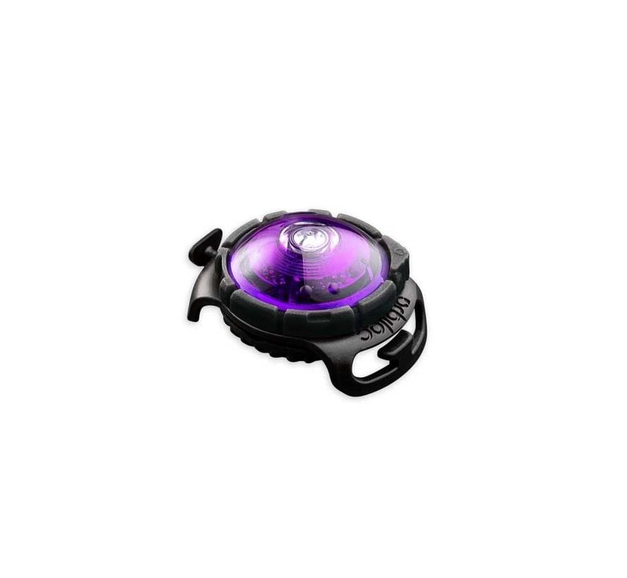 Dog Dual Light Purple