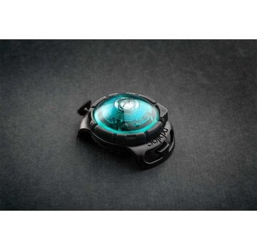 Orbiloc Dog Dual Light Turquoise