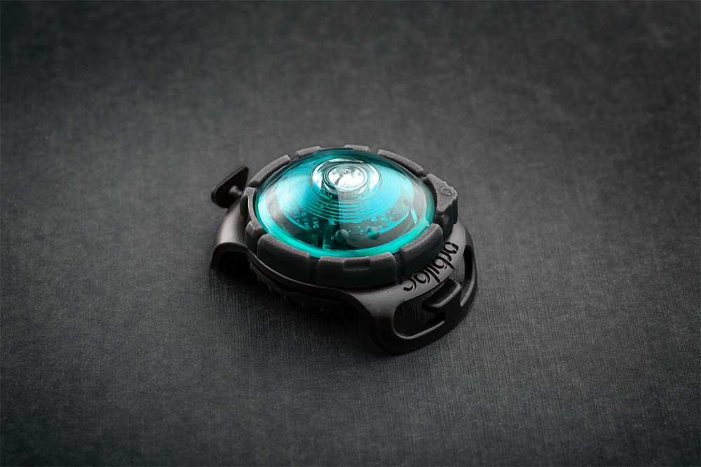 Afbeelding Orbiloc LED veiligheidslamp - Turquoise door Petsonline