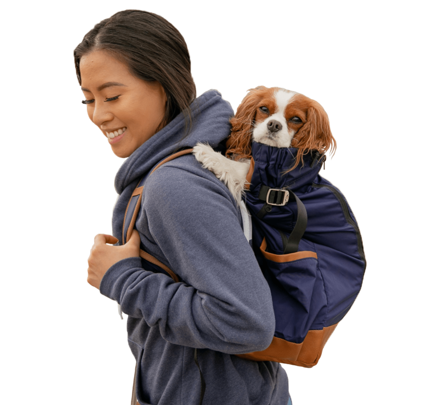 Hondendraagtas Rugzak Urban Blauw 2