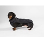 Dog coat Dachshund Black