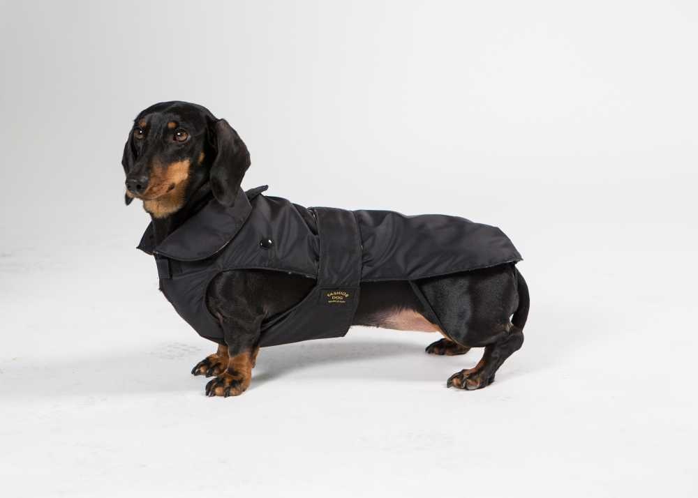 Van toepassing bijkeuken Opgewonden zijn Fashion Dog Hondenjas Teckel Zwart - Petsonline