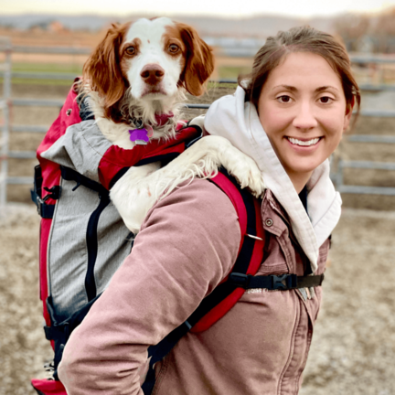 Pet Carriers