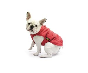 geroosterd brood Verouderd Ambassadeur Fashion Dog Hondenjas Mopshond & Franse Buldog Rood - Petsonline