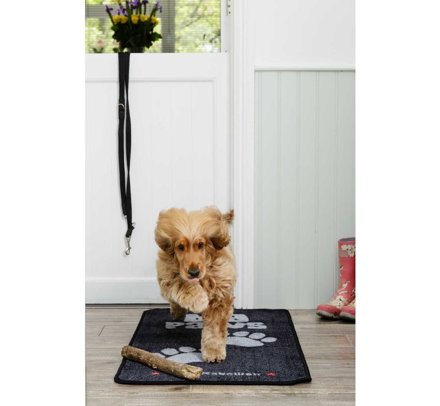 Droogloopmat Big Paws