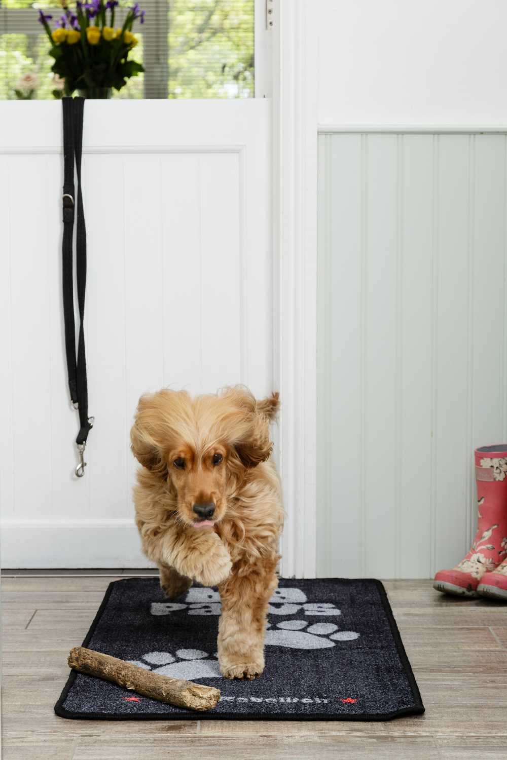 Pet Rebellion Barrier Rug Boot Mate Trellis - Petsonline