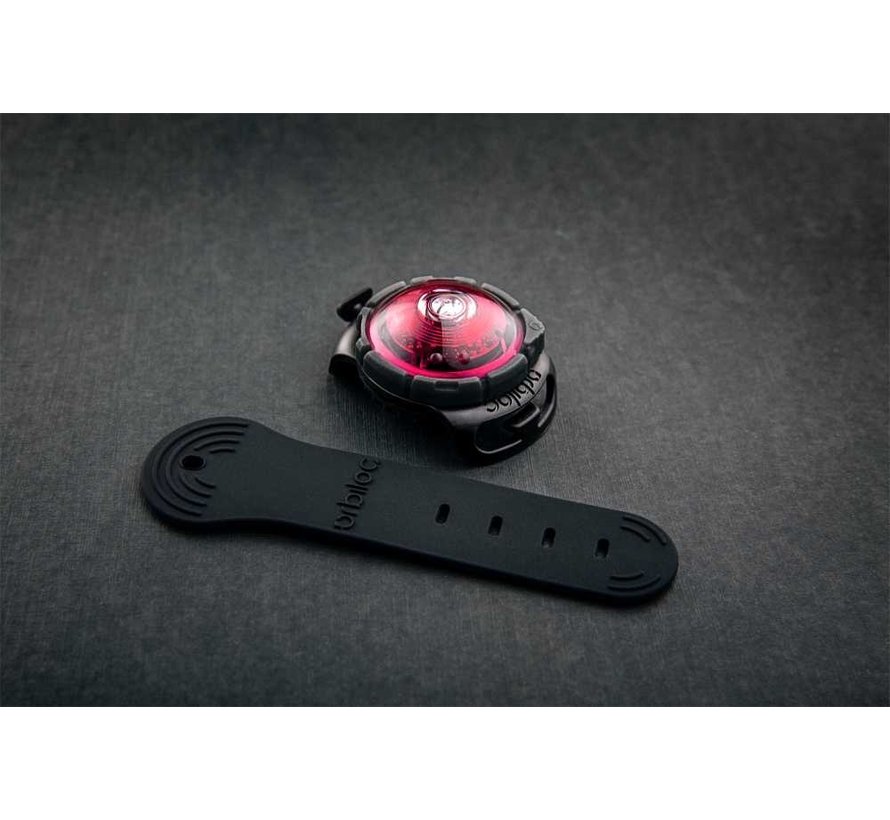 Dog Dual Light Roze – De Ultieme Veiligheidslamp voor uw Hond