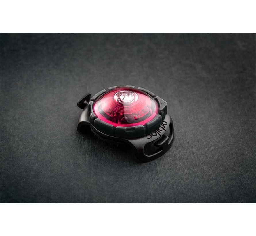 Dog Dual Light Pink – Professional Safety Light for Dogs