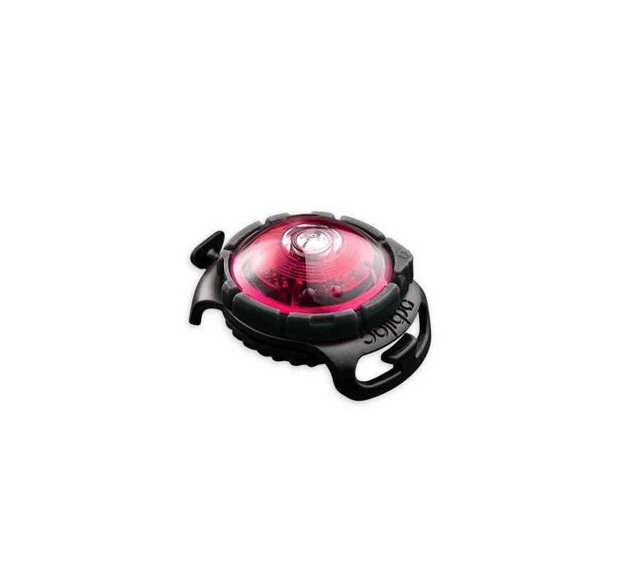 Dog Dual Light Pink – Professional Safety Light for Dogs