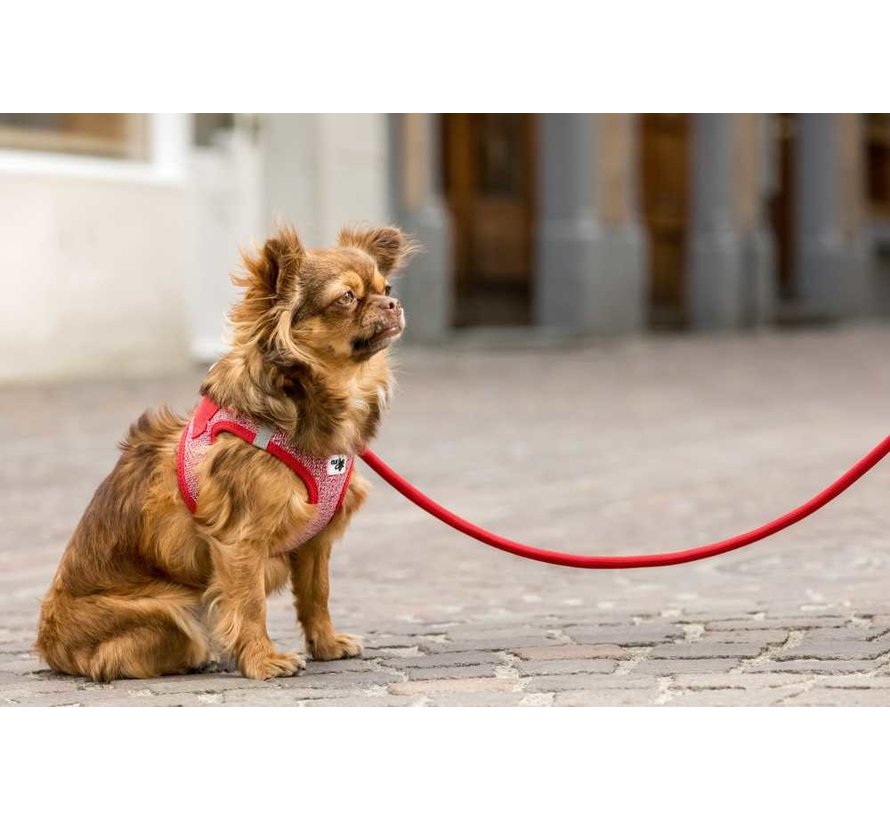 Dog harness Merino red