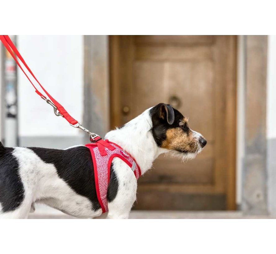 Dog harness Merino red