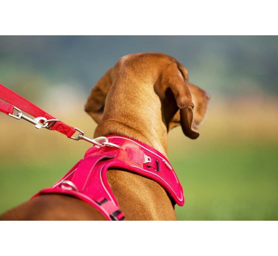 Adjustable Dog Leash Red