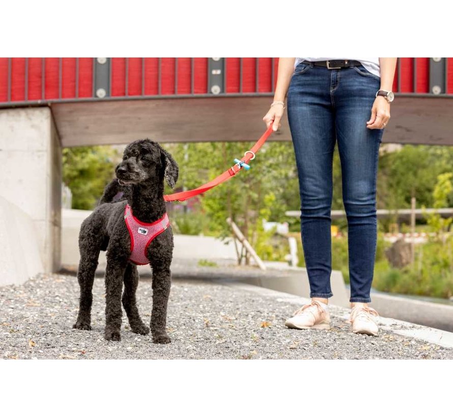 Adjustable Dog Leash Red