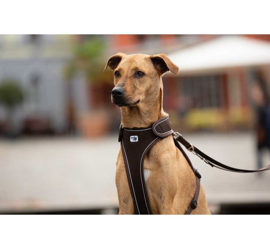 Adjustable Dog Leash Brown