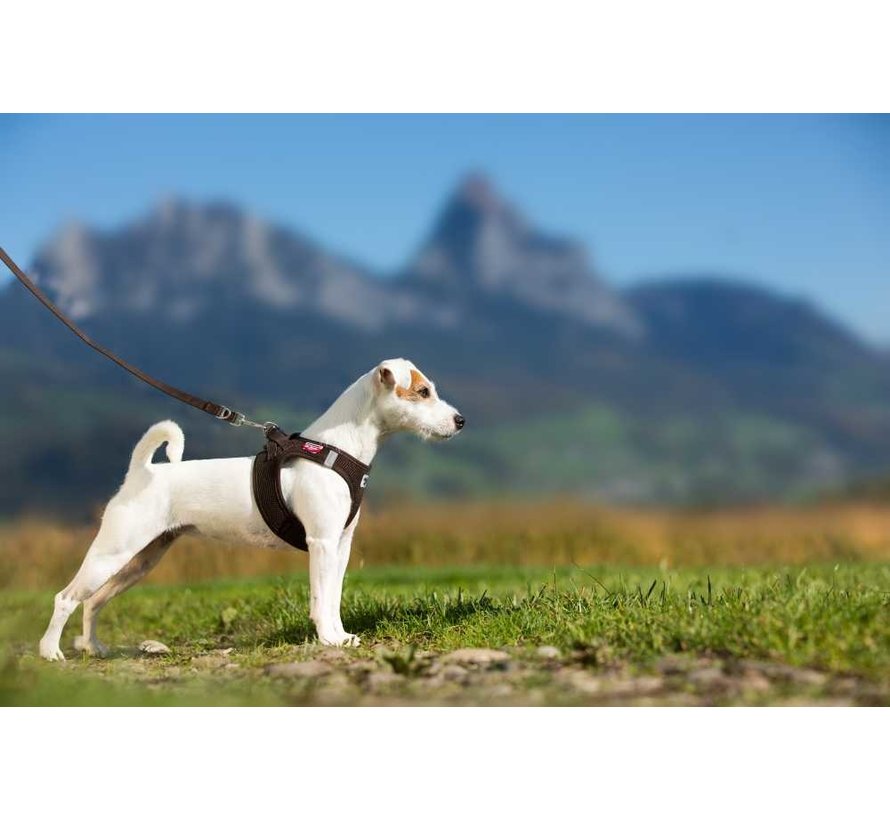 Adjustable Dog Leash Brown