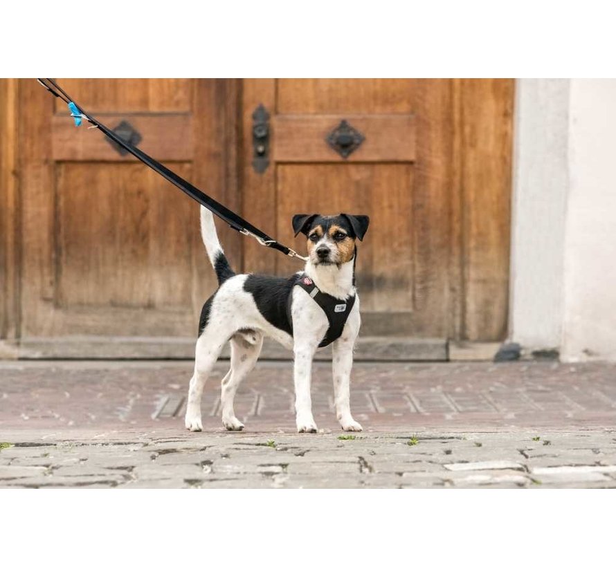 Adjustable Dog Leash Black