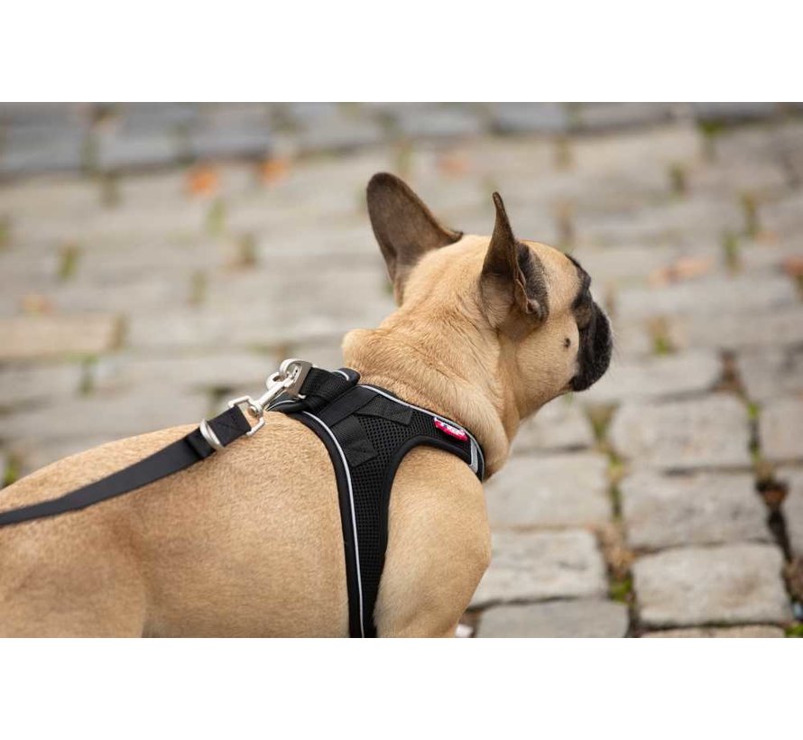 Adjustable Dog Leash Black