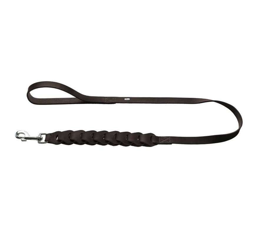 Dog Leash Solid Education Chain Dark Brown