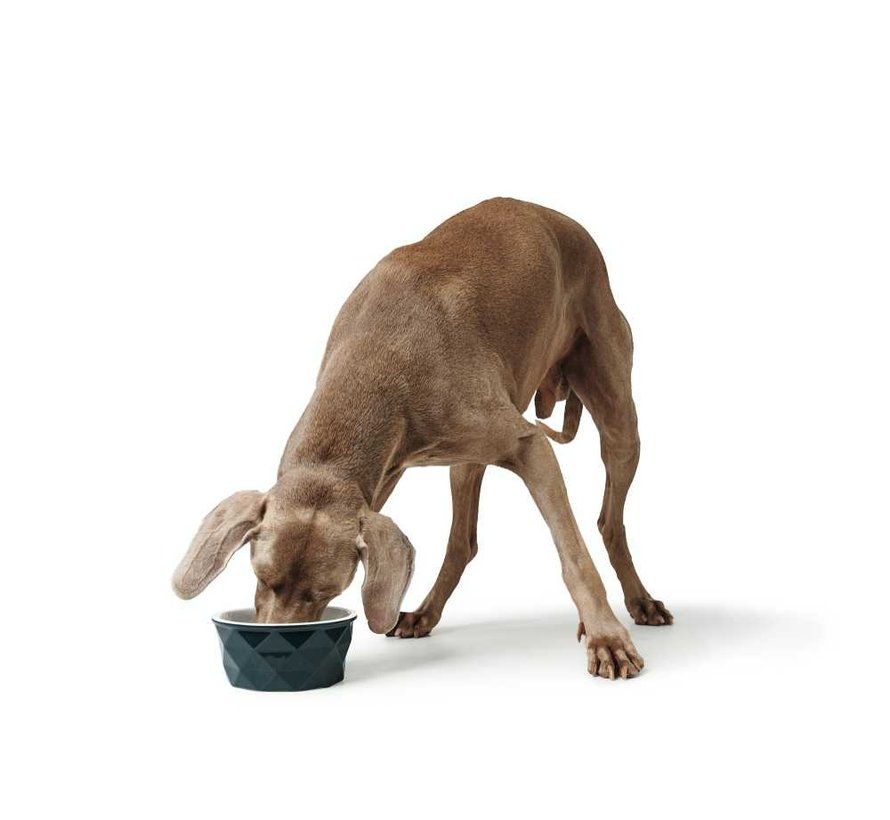 Dog Bowl Eiby Blue