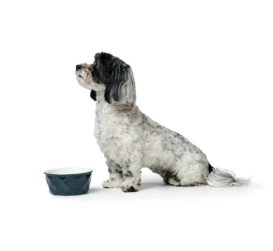 Dog Bowl Eiby Blue
