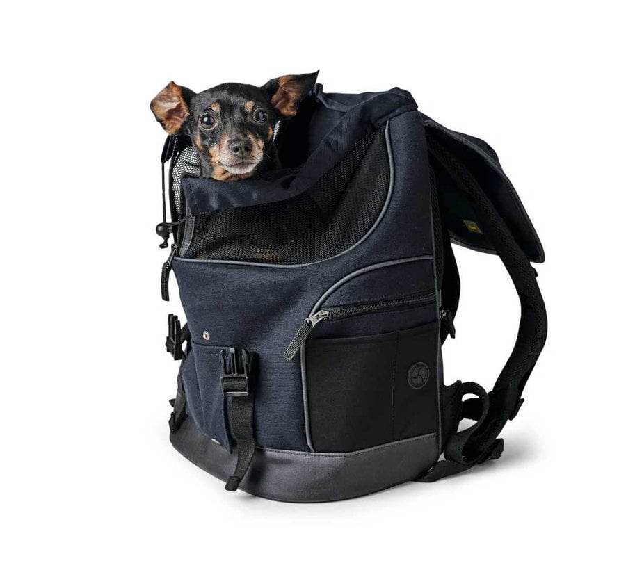 Dog Backpack Madison