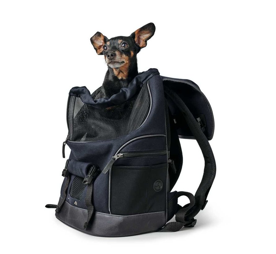 Dog Backpack Madison