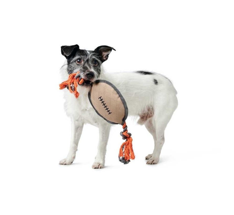 Dog Toy Pombas