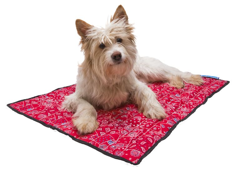 Afbeelding Aqua Coolkeeper - Mat Red Western door Petsonline