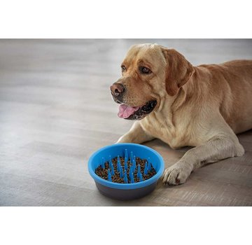 Dexas Food Bowl Slow Feeder Blue