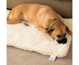 Hugglehounds bed 2025