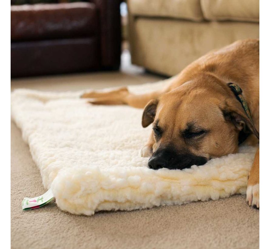 Fleece Dog Cushion