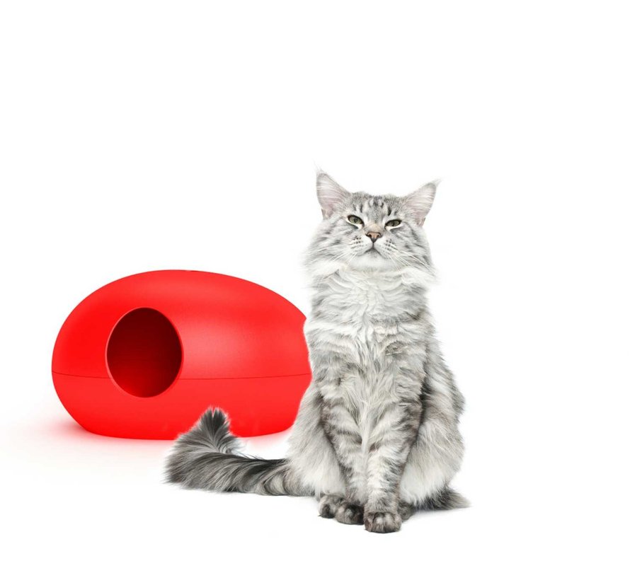 Design Litter Box Poopoopeedo Red