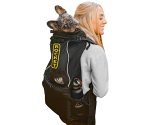 K9 Sport Sack Dog Backpack Knavigate Black - Petsonline