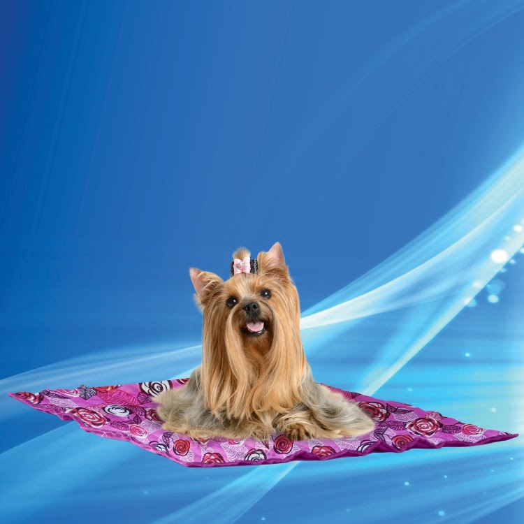 Afbeelding Aqua Coolkeeper Cool Mat Roses L door Petsonline