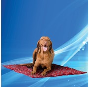 Aqua Coolkeeper Cooling Mat Red Western