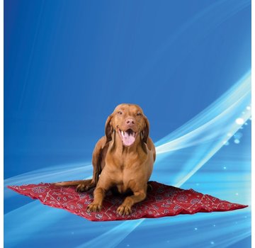 Aqua Coolkeeper Cooling Mat Red Western