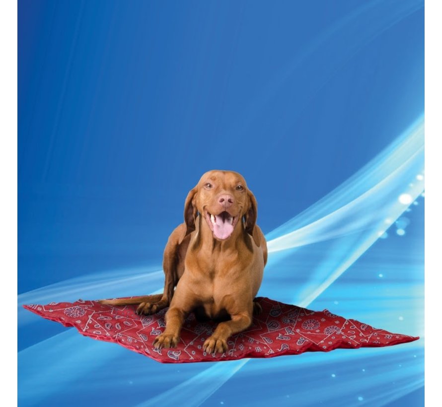Cooling Mat Red Western