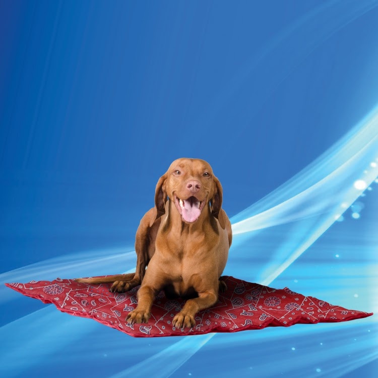 Afbeelding Aqua Coolkeeper - Mat Red Western door Petsonline