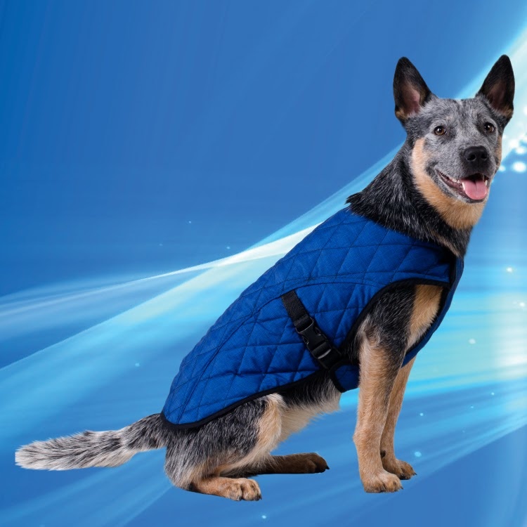 Aqua Coolkeeper Pet Jacket Blue