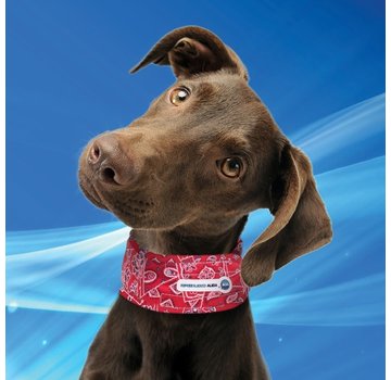 Aqua Coolkeeper Cooling Collar Red Western