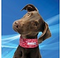 Cooling Collar Red Western