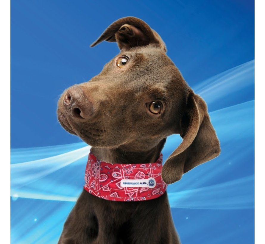 Cooling Collar Red Western