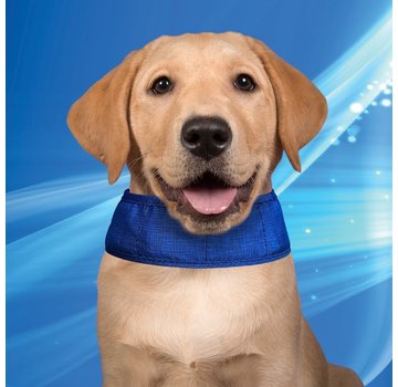 Aqua Coolkeeper Cooling Collar Pacific Blue