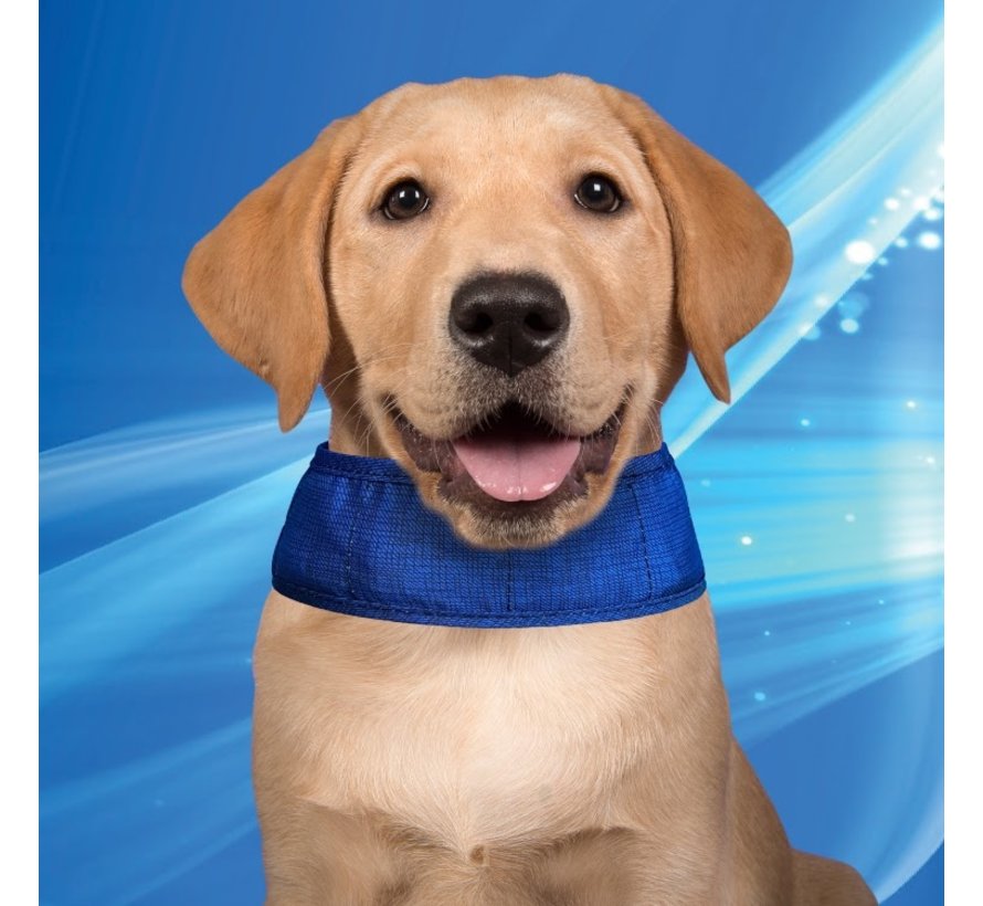 Cooling Collar Pacific Blue